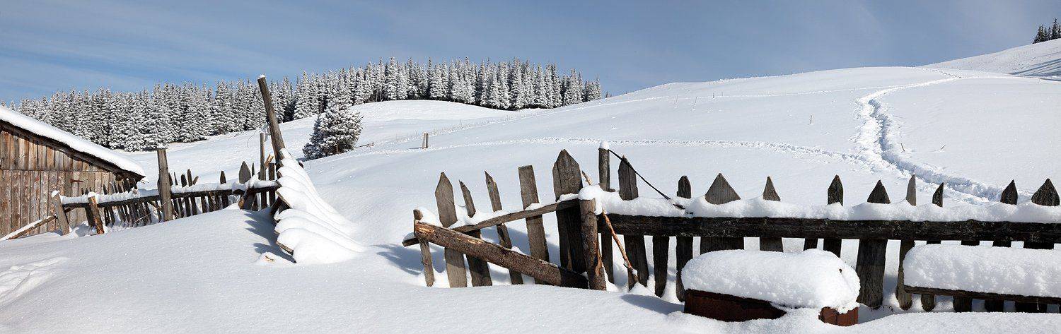 , Михаил Псарёв