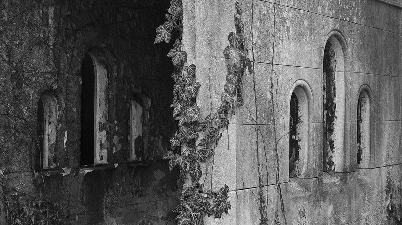 Trip to Bengaluru/India and visit to central graveyard in Vienna/Austria фото превью