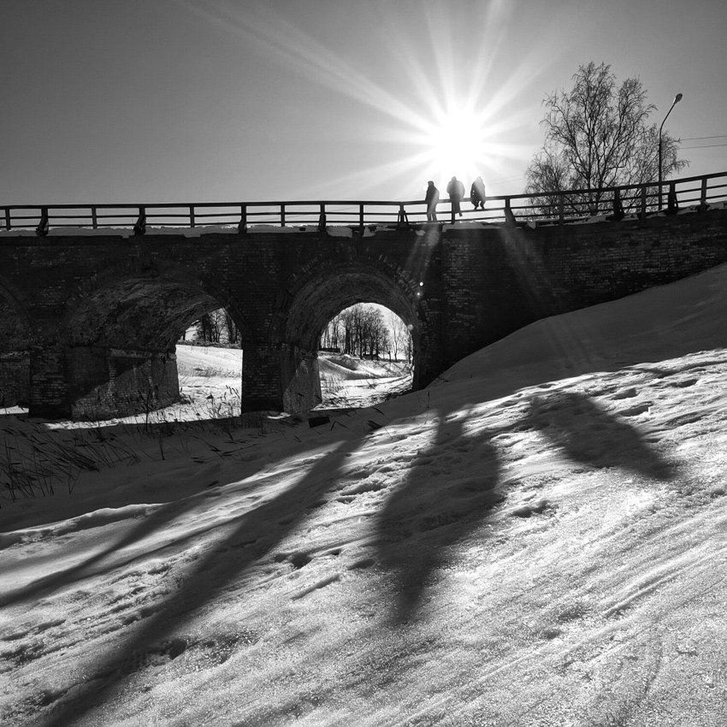 , Максим Евдокимов