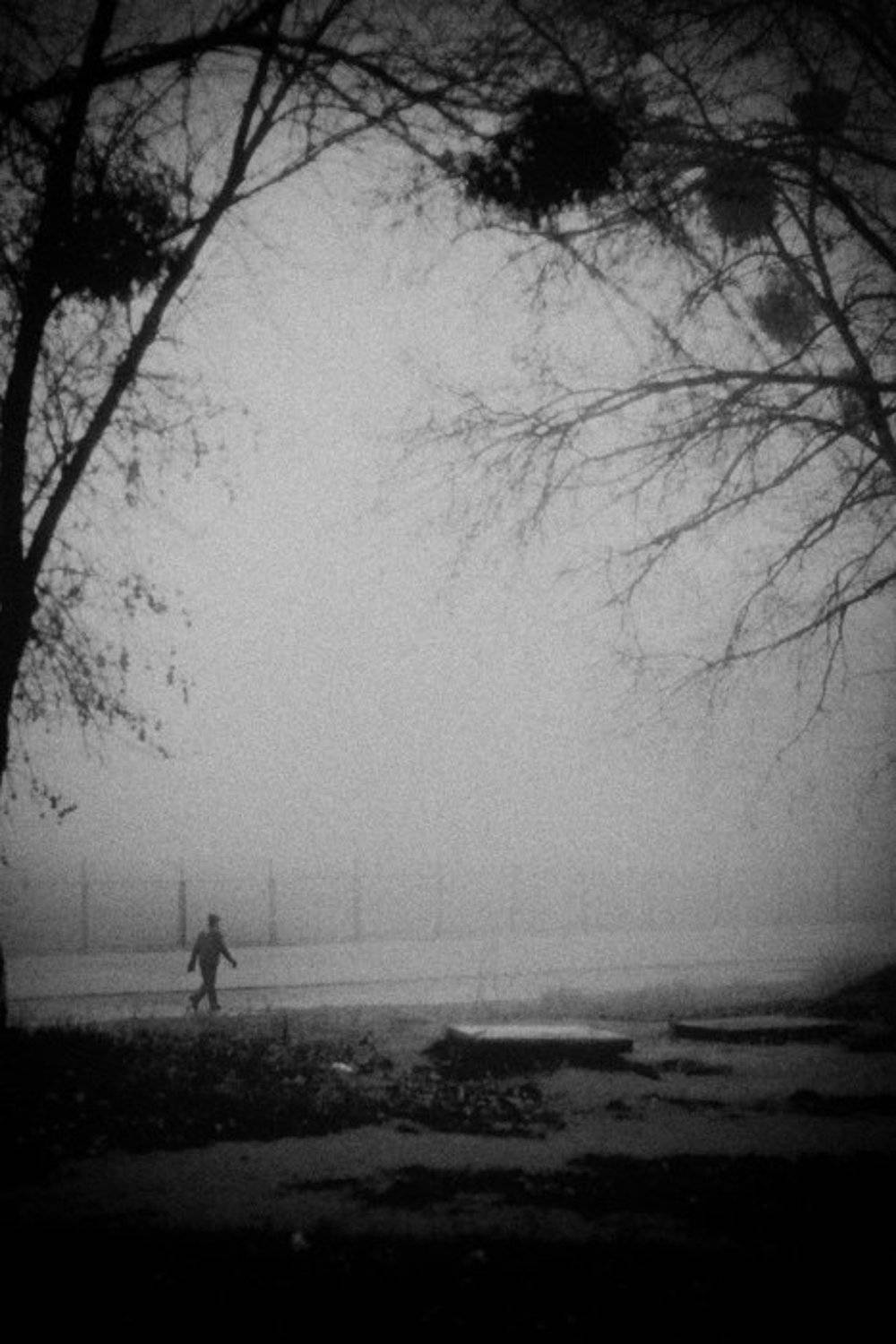 , Роман Чайка