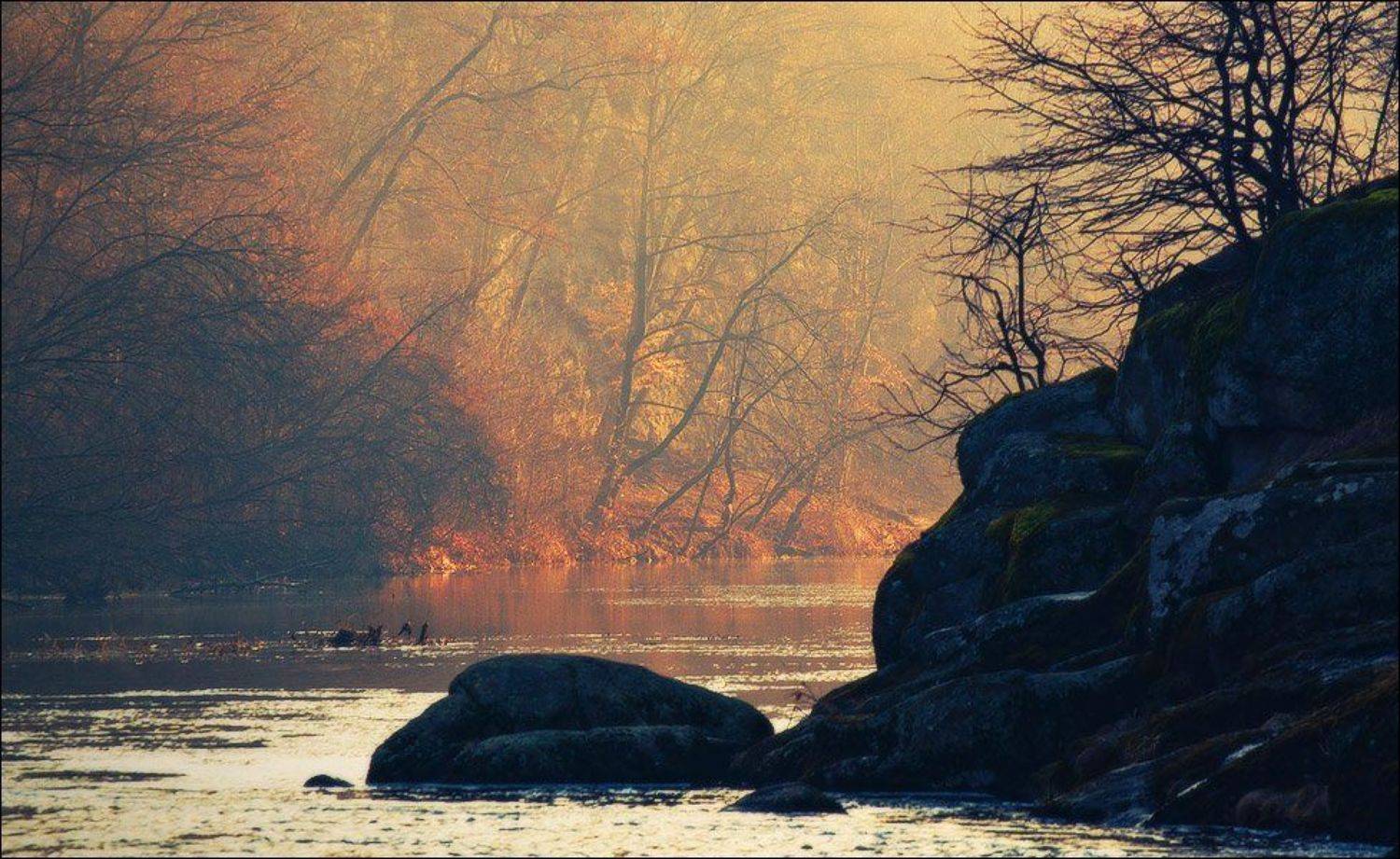 , Денис Кривой