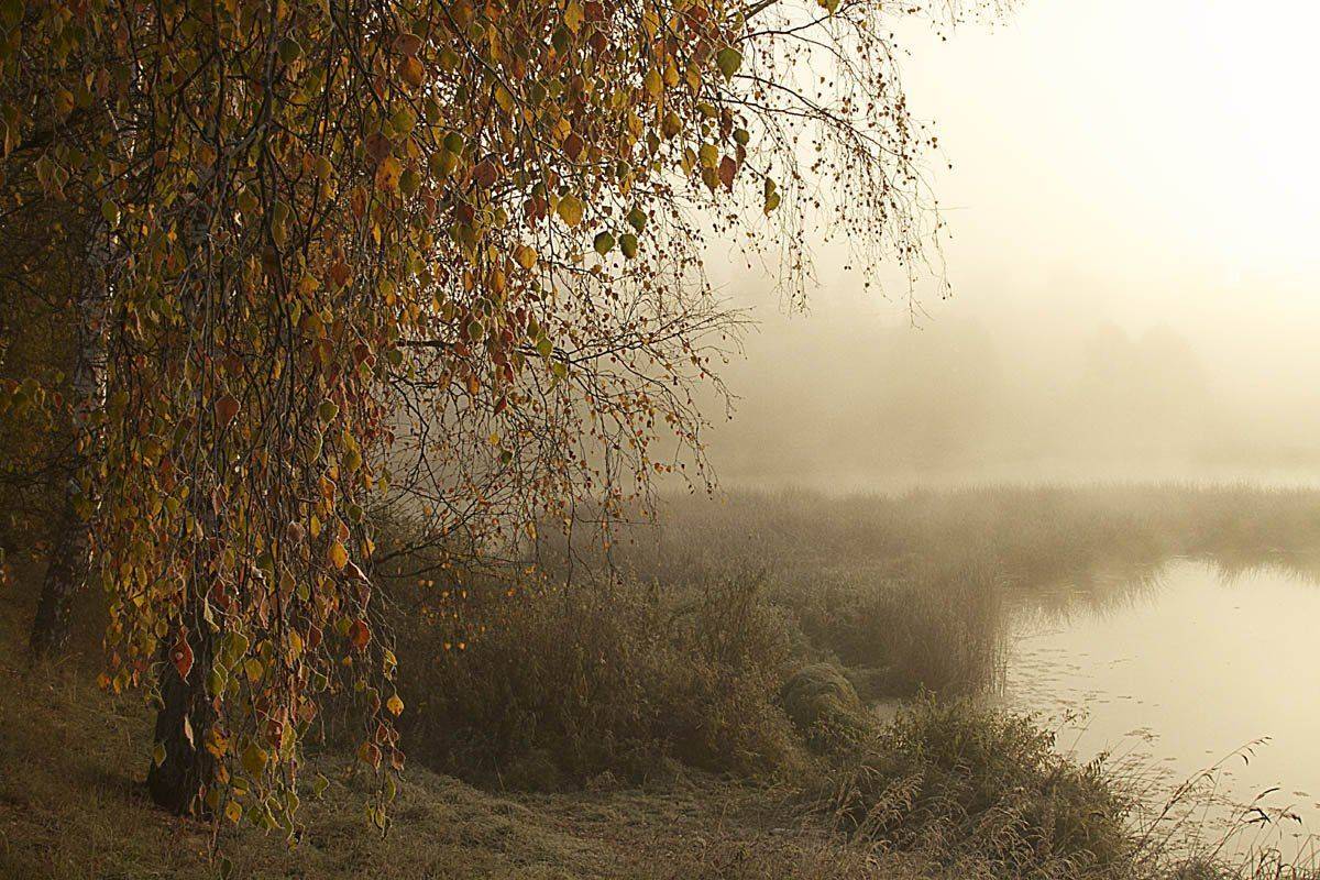 , СПИРИДОНОВ НИКОЛАЙ