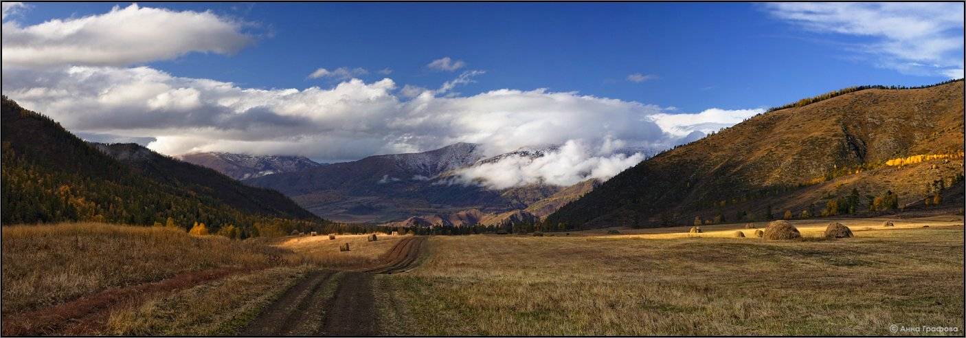 алтай, горы, горный алтай, осень, кучерла, тюнгур, поле, аня графова, Аня Графова
