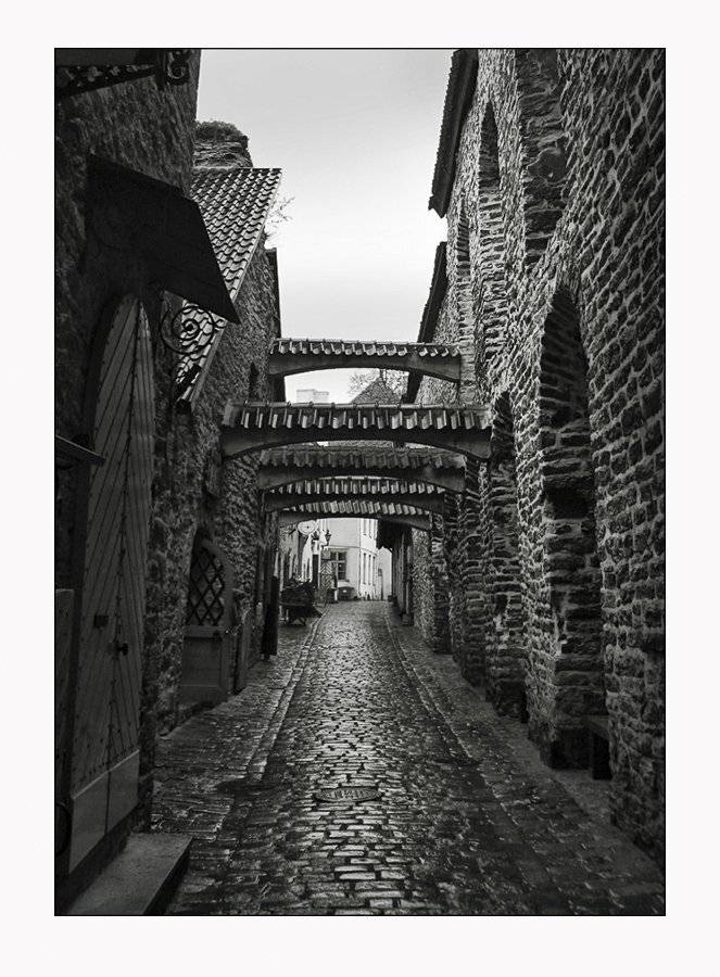 эстония, таллинн, Лариса Гурьева