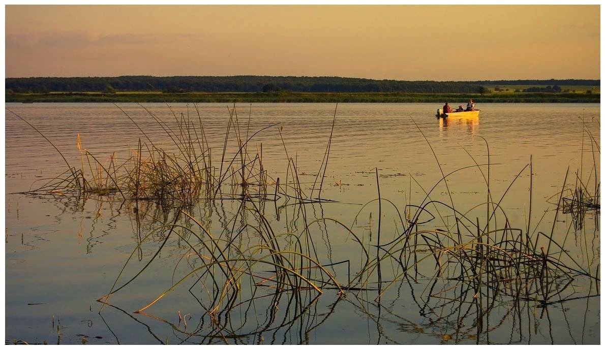 , Николай Шахманцир