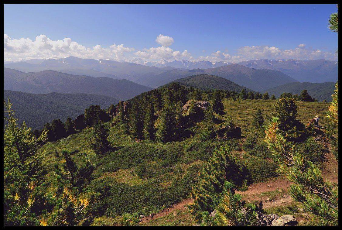алтай, лето, горы, тайга, АНАТОЛИЙ ДОВЫДЕНКО