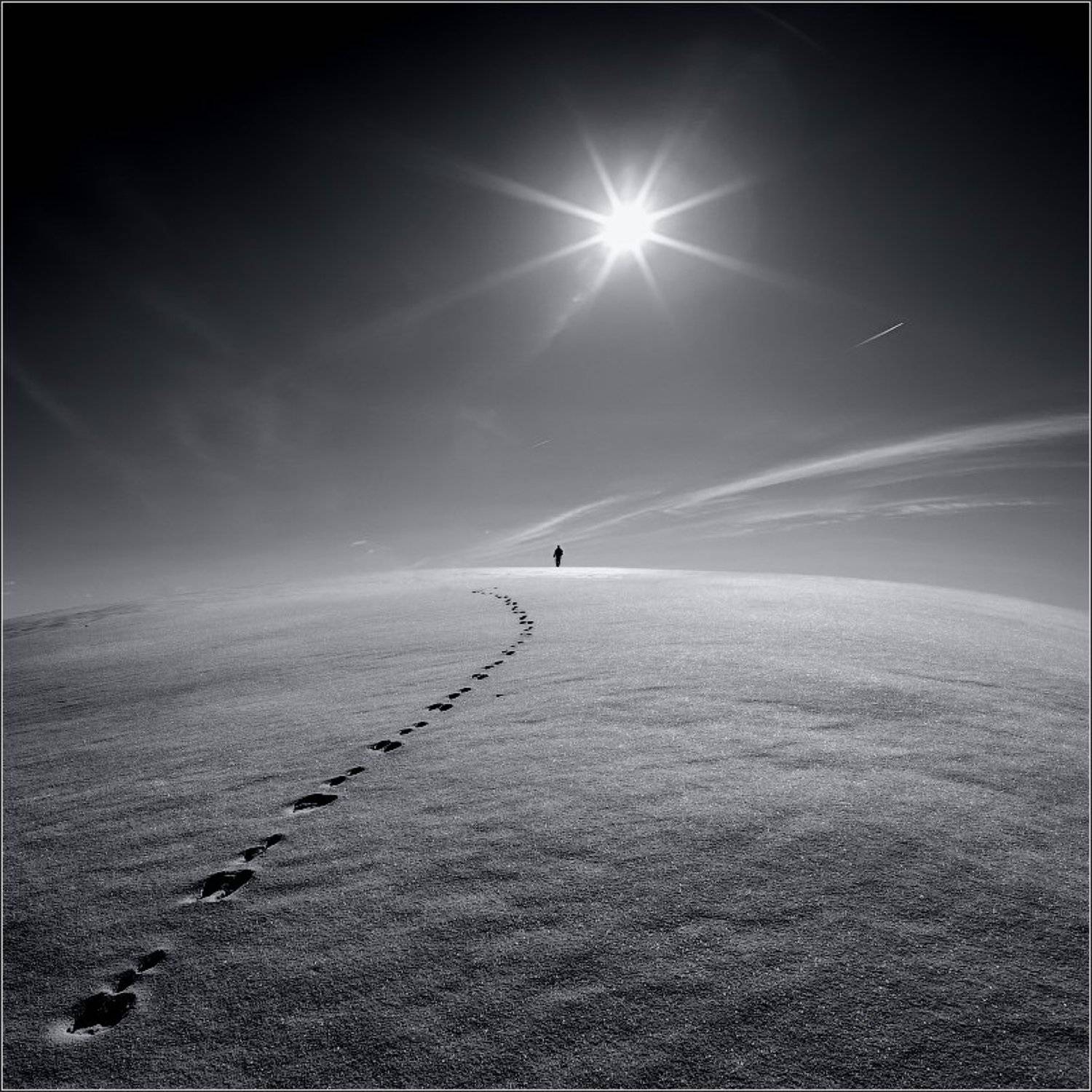 зайцы,   солнце,   следы, снег, минское море, беларусь, пейзаж, sunny, bunny, Влад Соколовский