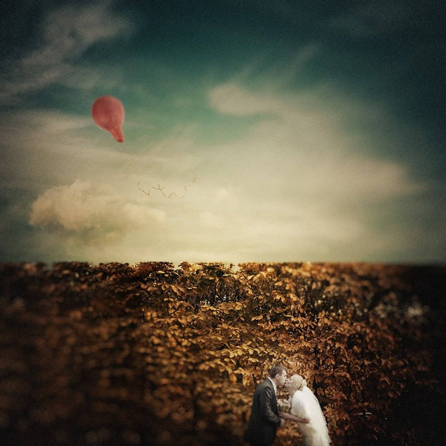 , Alexander Mikhailenko