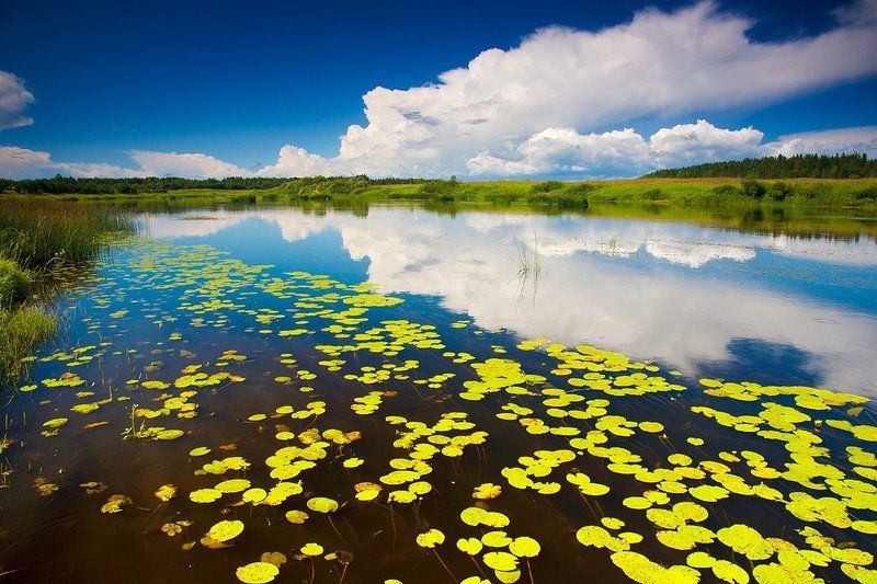 Молога фото превью