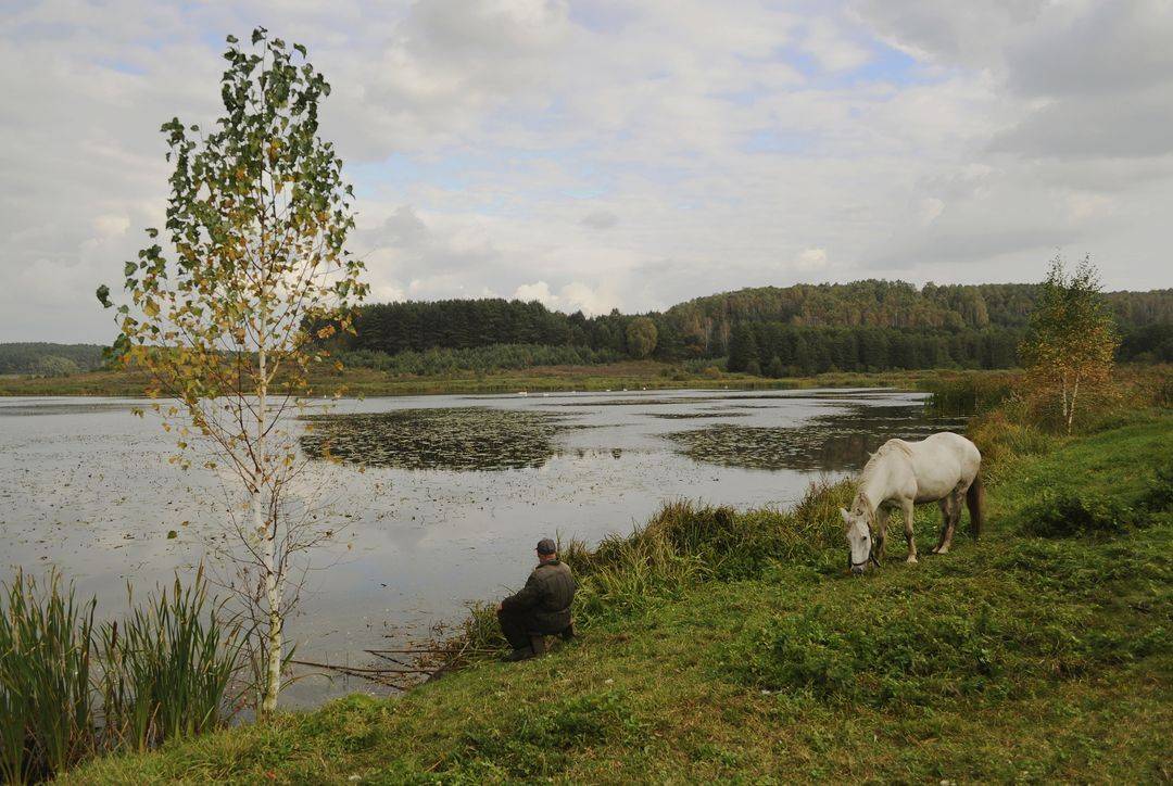 , Володимир Карчевський