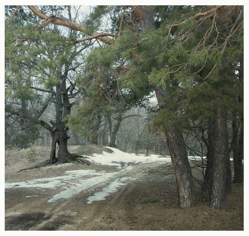 * * * фото превью