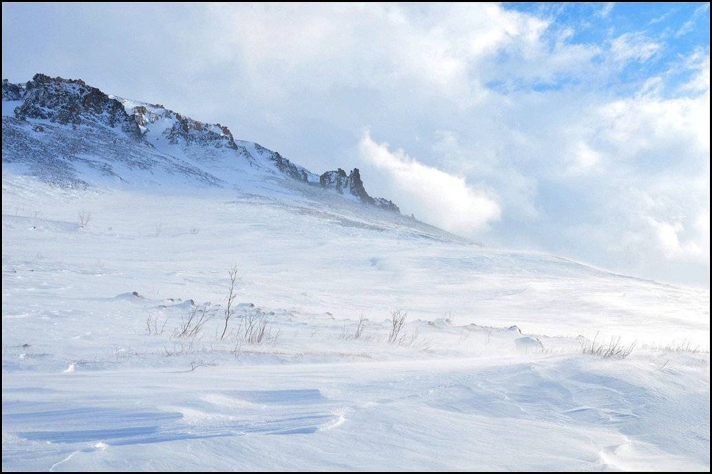 таймыр, Vladimir