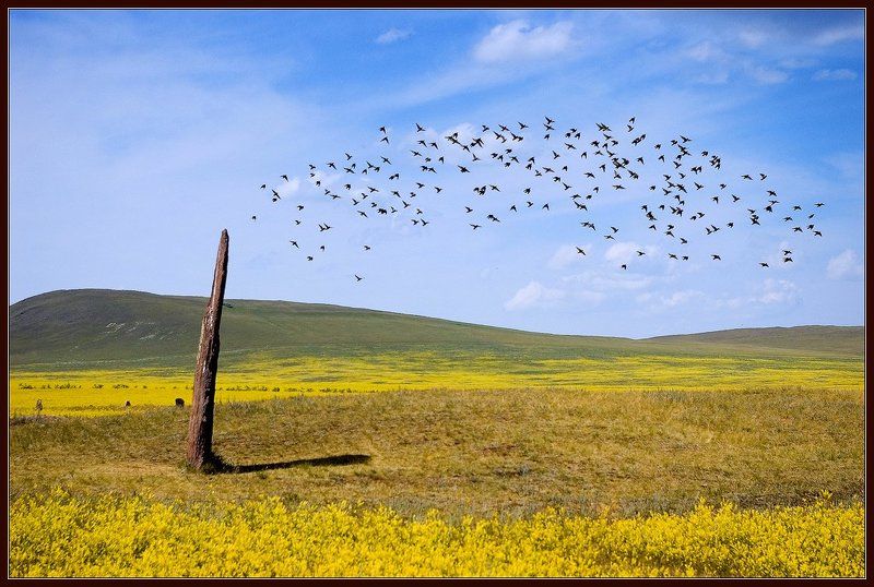 * фото превью