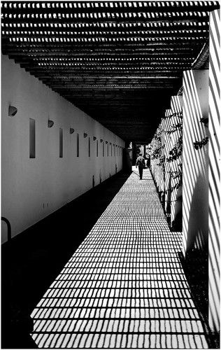 Уходящие вдаль...