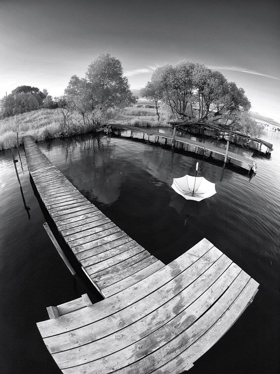 , Максим Евдокимов