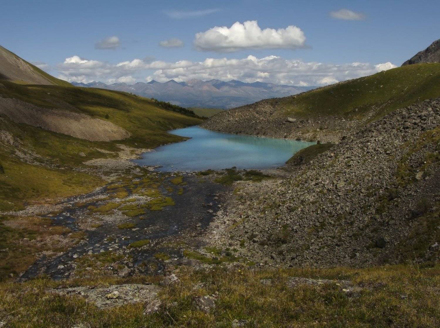 , Галина Хвостенко