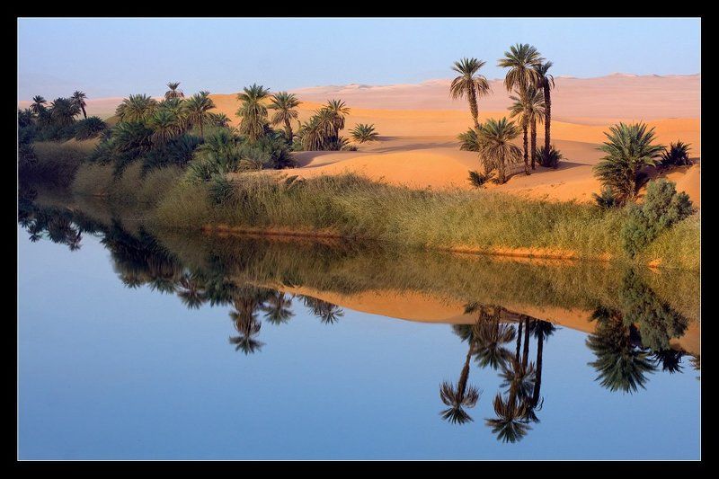 сахара, ливия, песок, оазис, дюны Оазис... фото превью