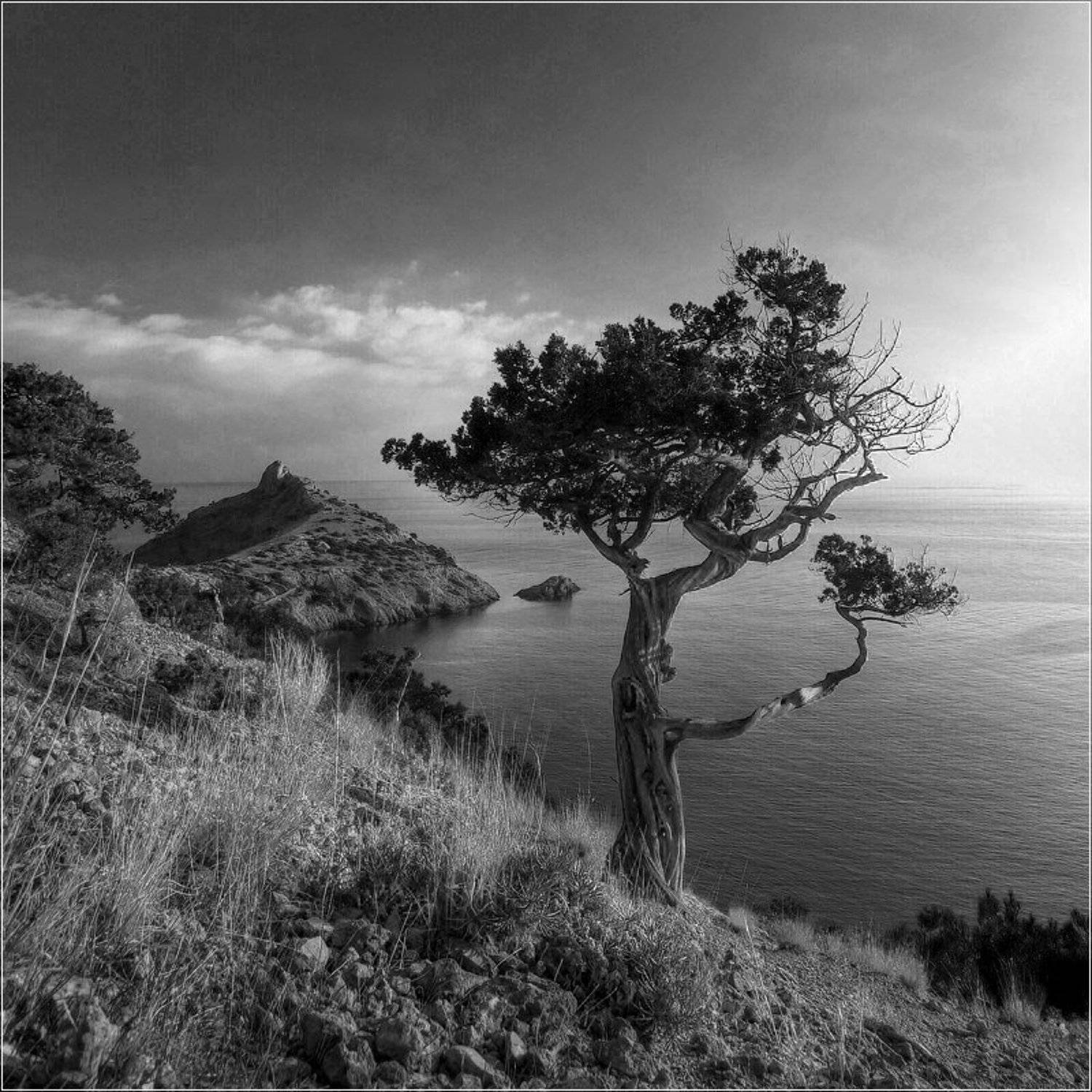 крым, новый свет, мыс капчик, Dmitry Zherebtsov