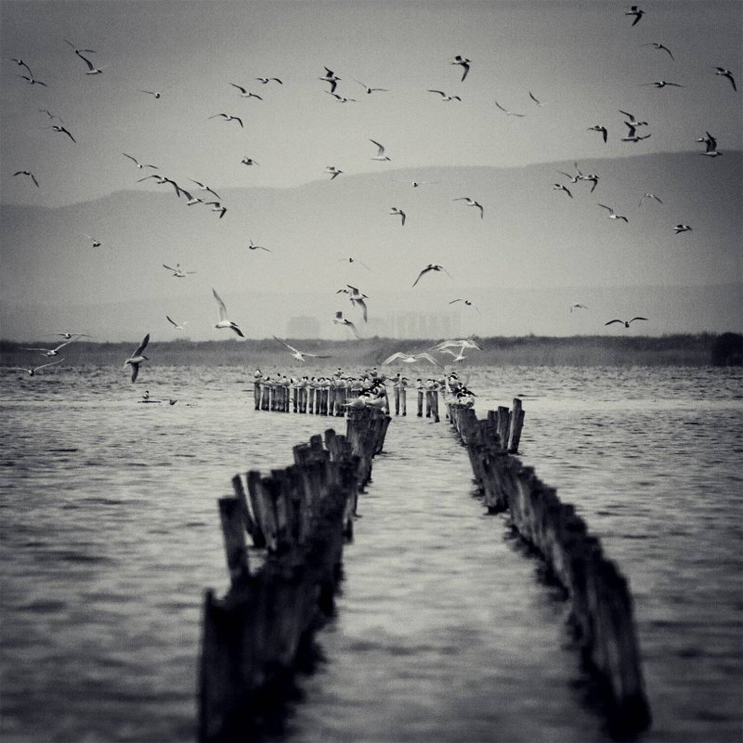 море, Борислав Василев