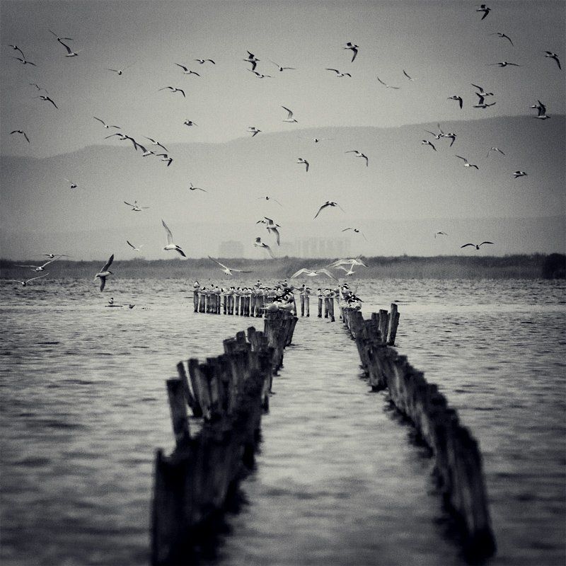 море Поморие фото превью