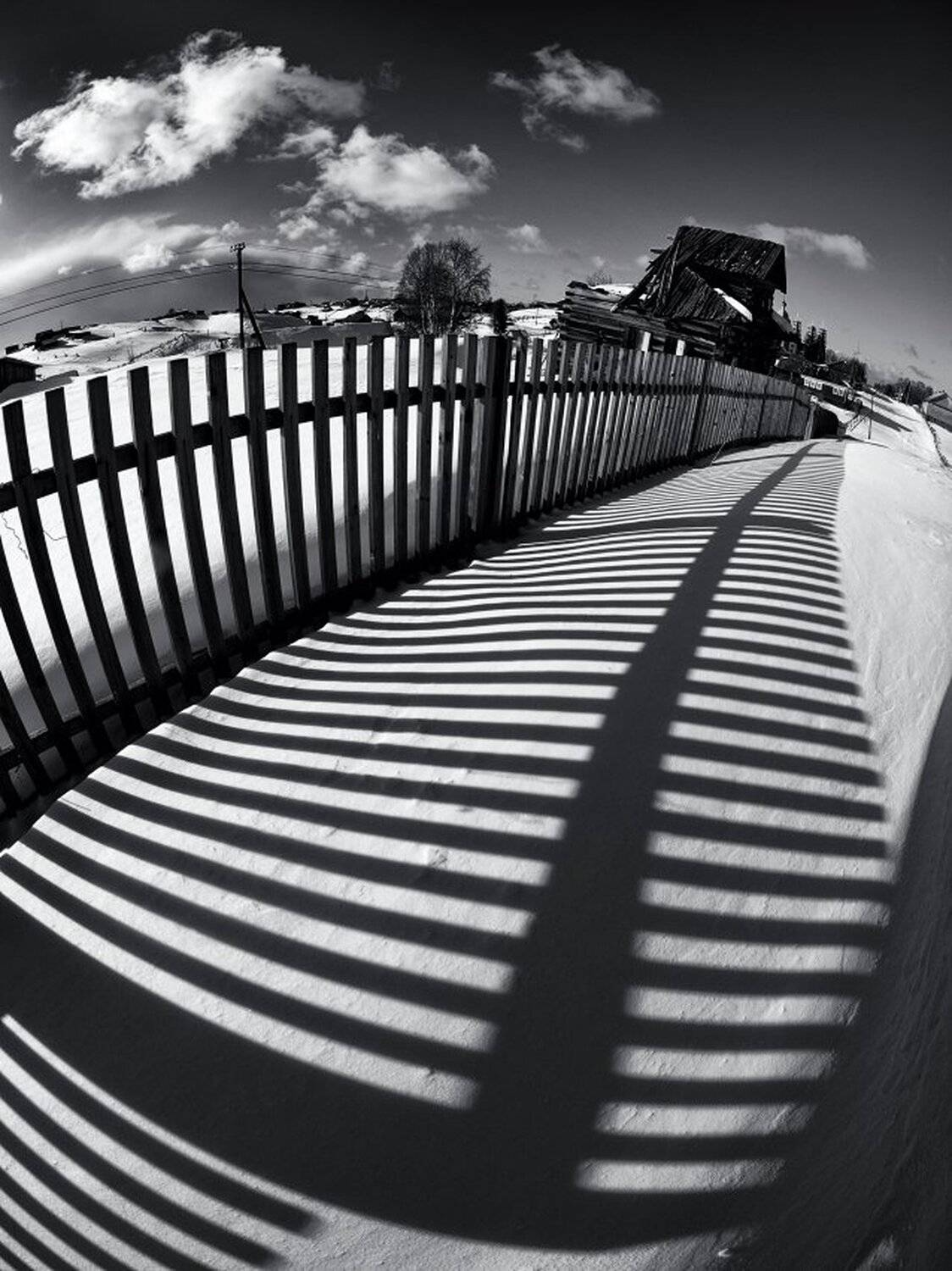 , Максим Евдокимов