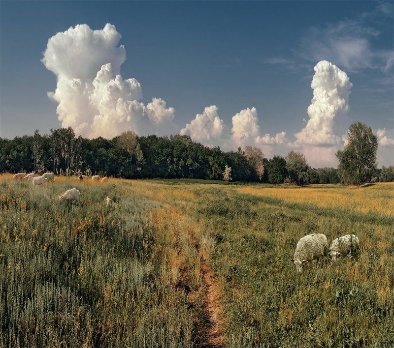 *** фото превью