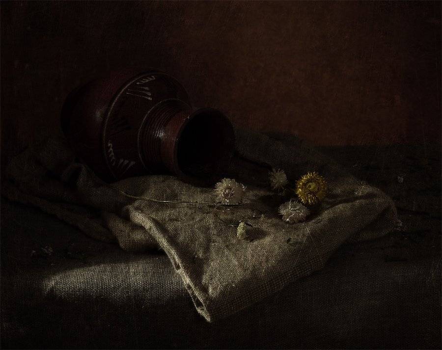 , Пономарева Ирина