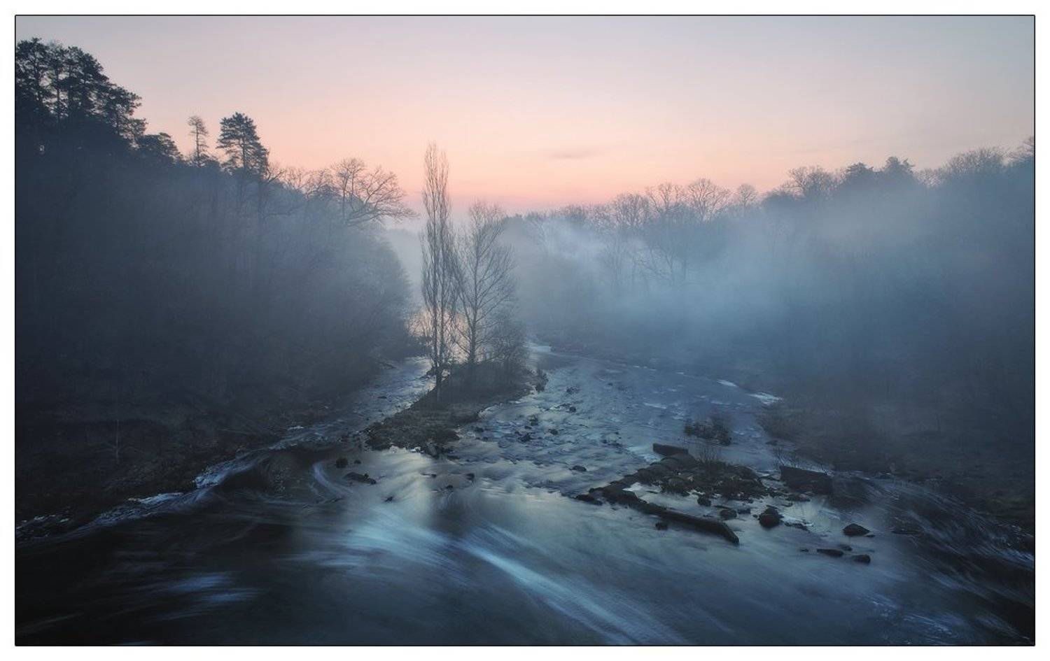 , Денис Кривой