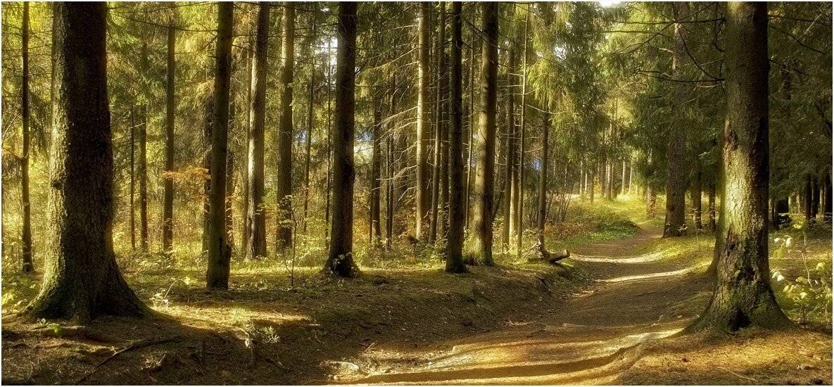 , Андрей Куликов