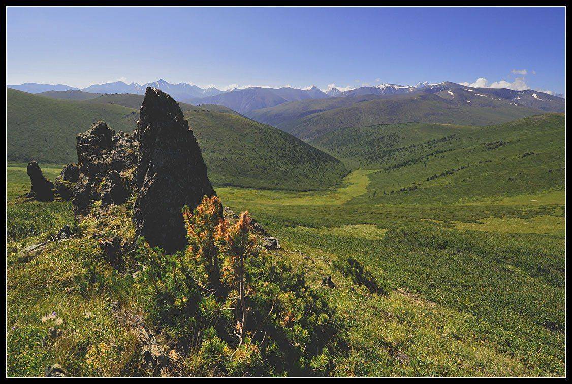 алтай, катунский хр. верховья р. балтырган, АНАТОЛИЙ ДОВЫДЕНКО