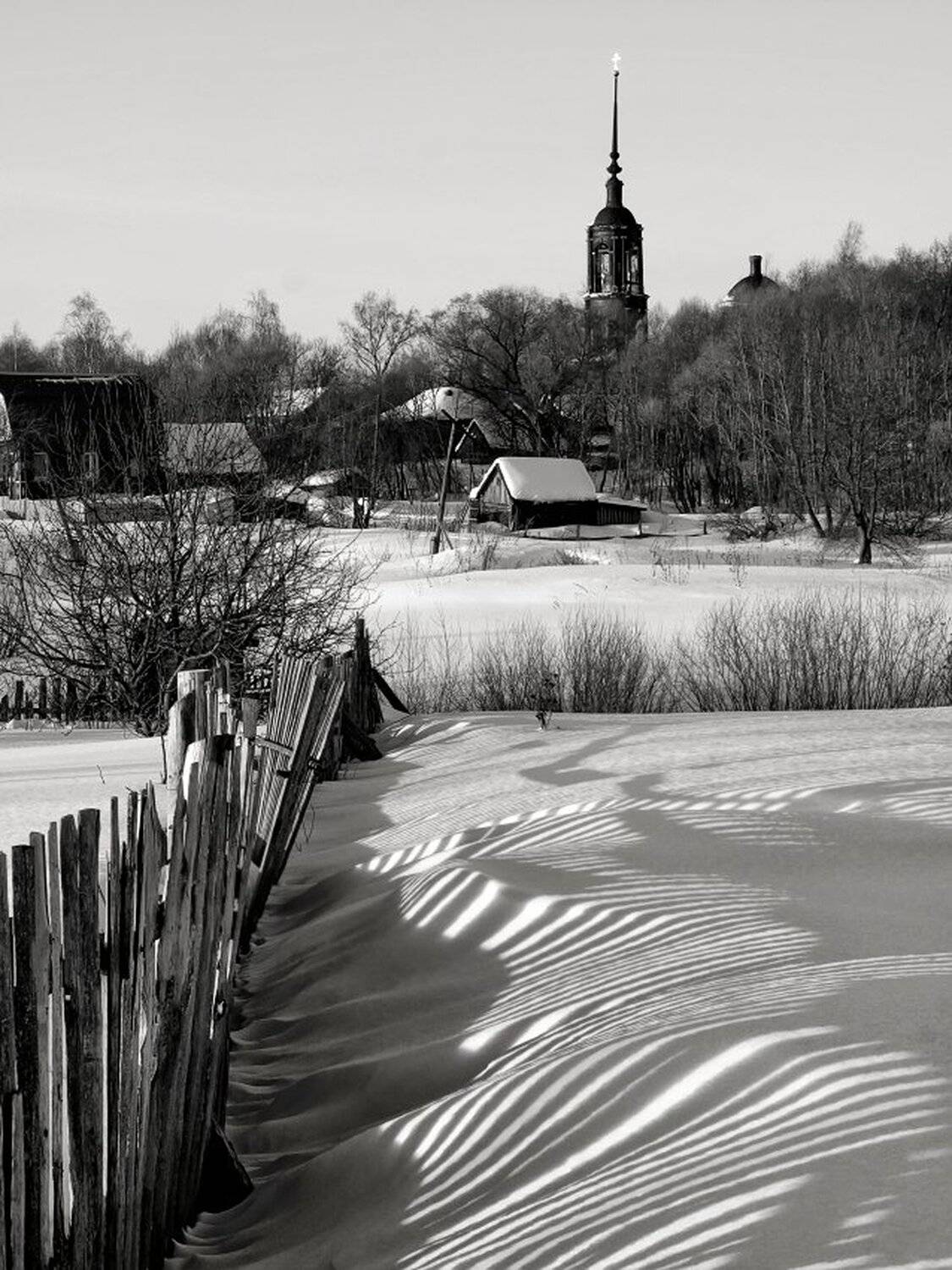 , Максим Евдокимов