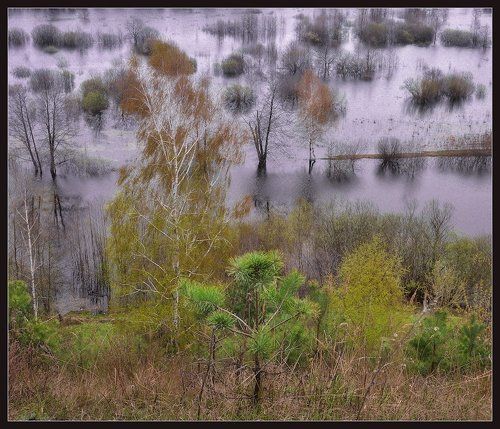 Осенние виды