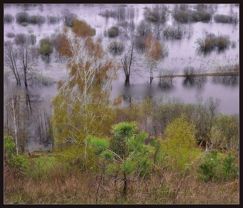 осень Осенние виды фото превью