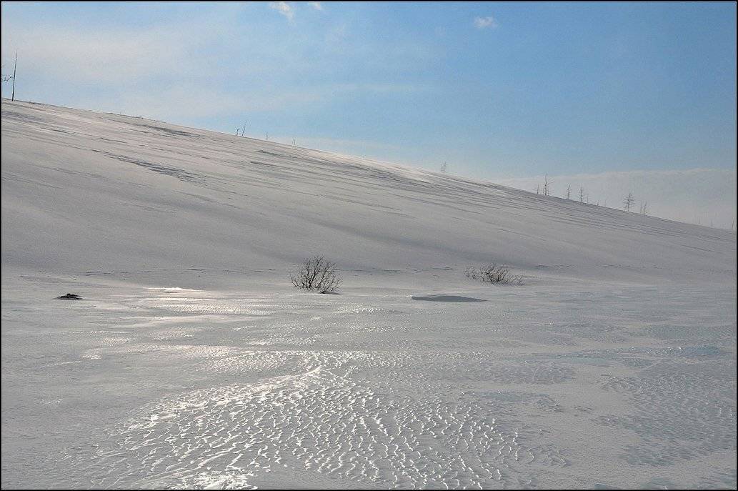 таймыр, Vladimir