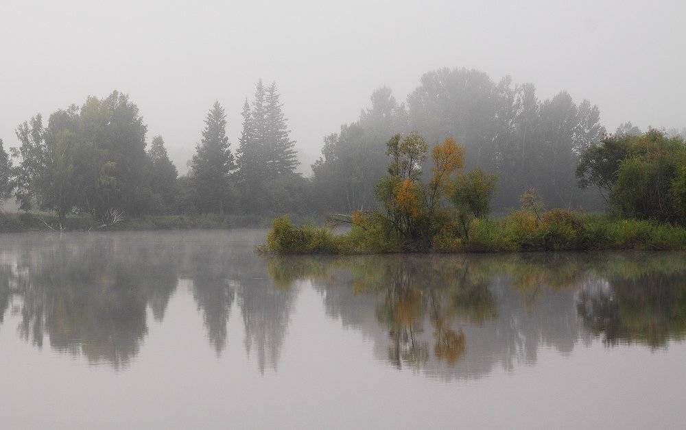 утро, туман, август, сентябрь, Николай Морский