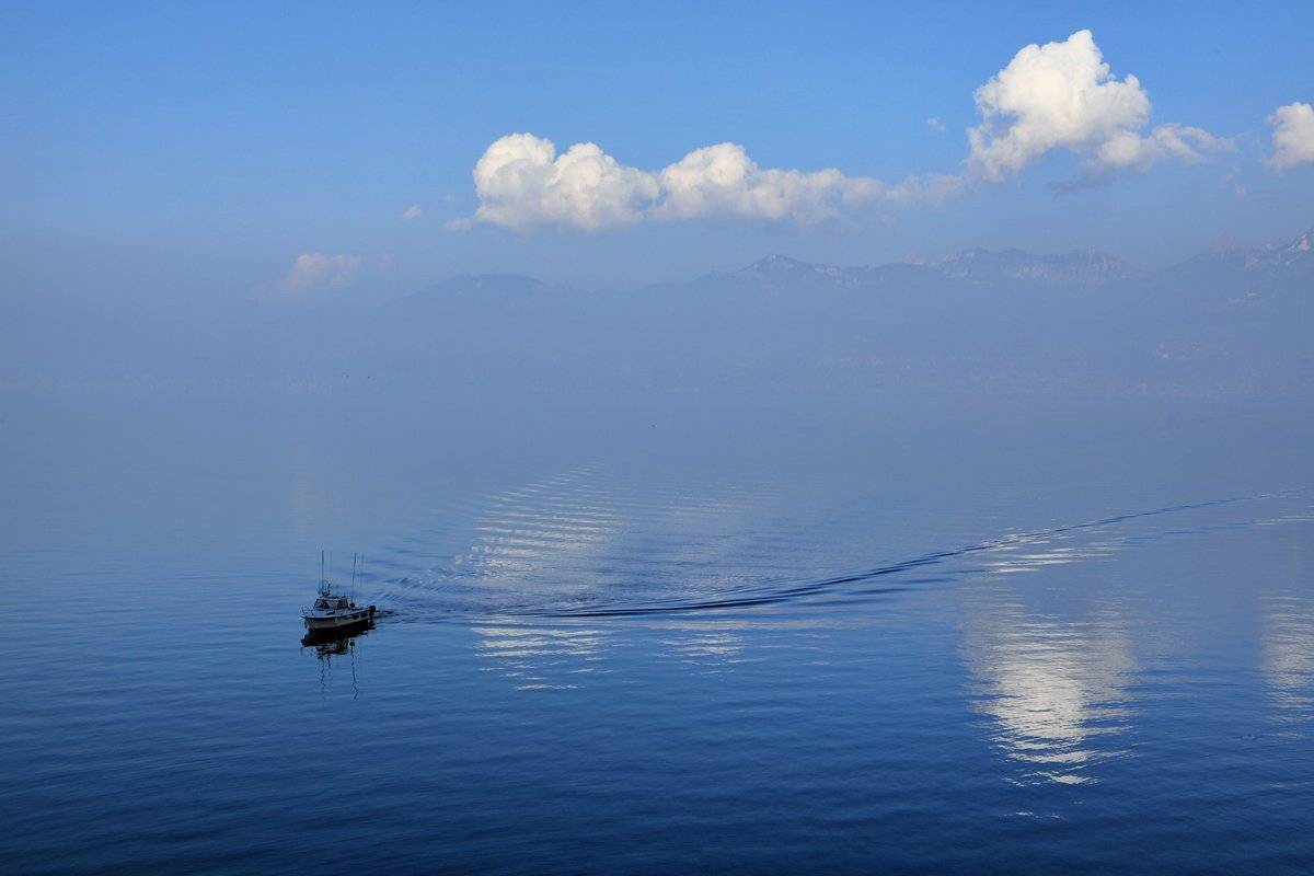 swiss, Матвеев Николай