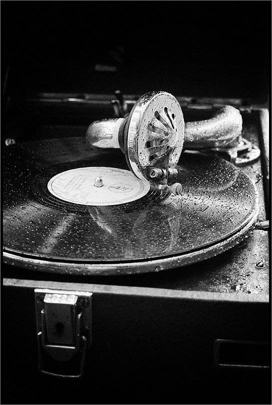 , Лунный Ежик