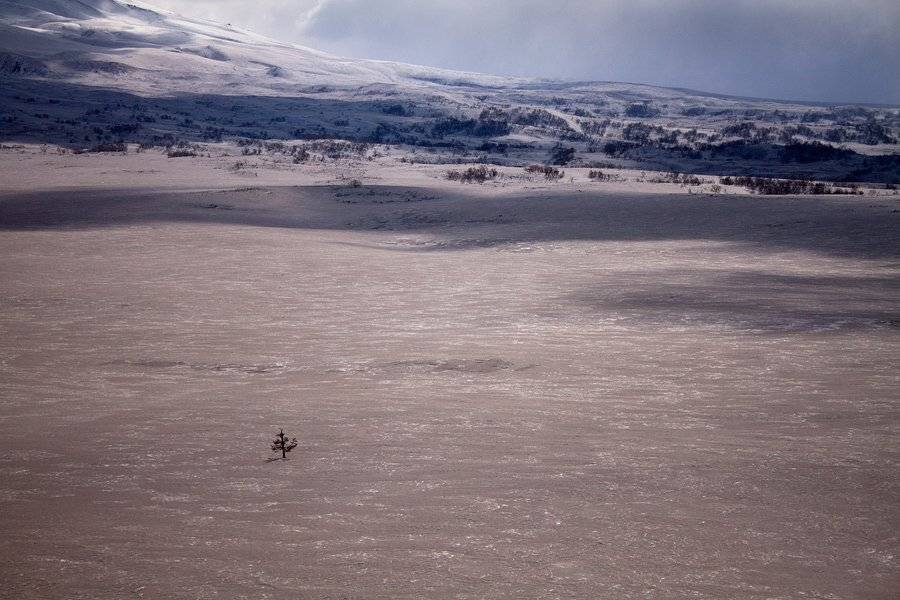 камчатка, вулкан, кизимен, пепел, вертолет, облако, дерево, Денис Будьков