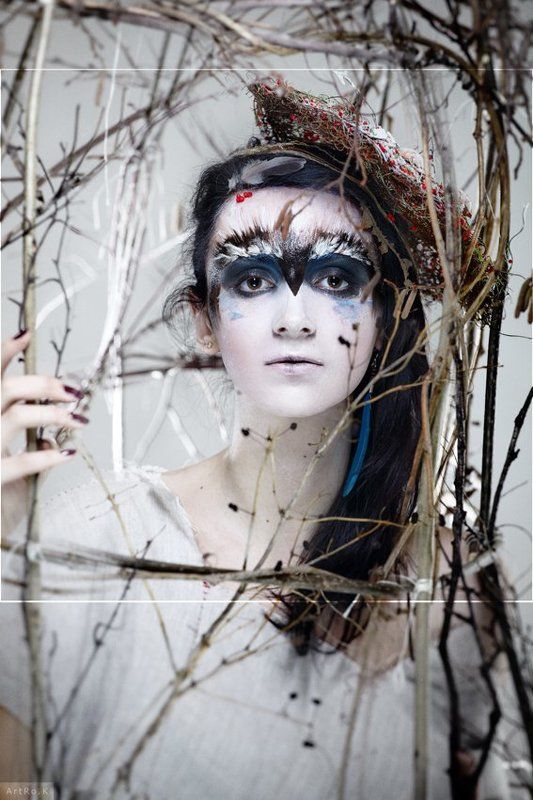 галка фото превью