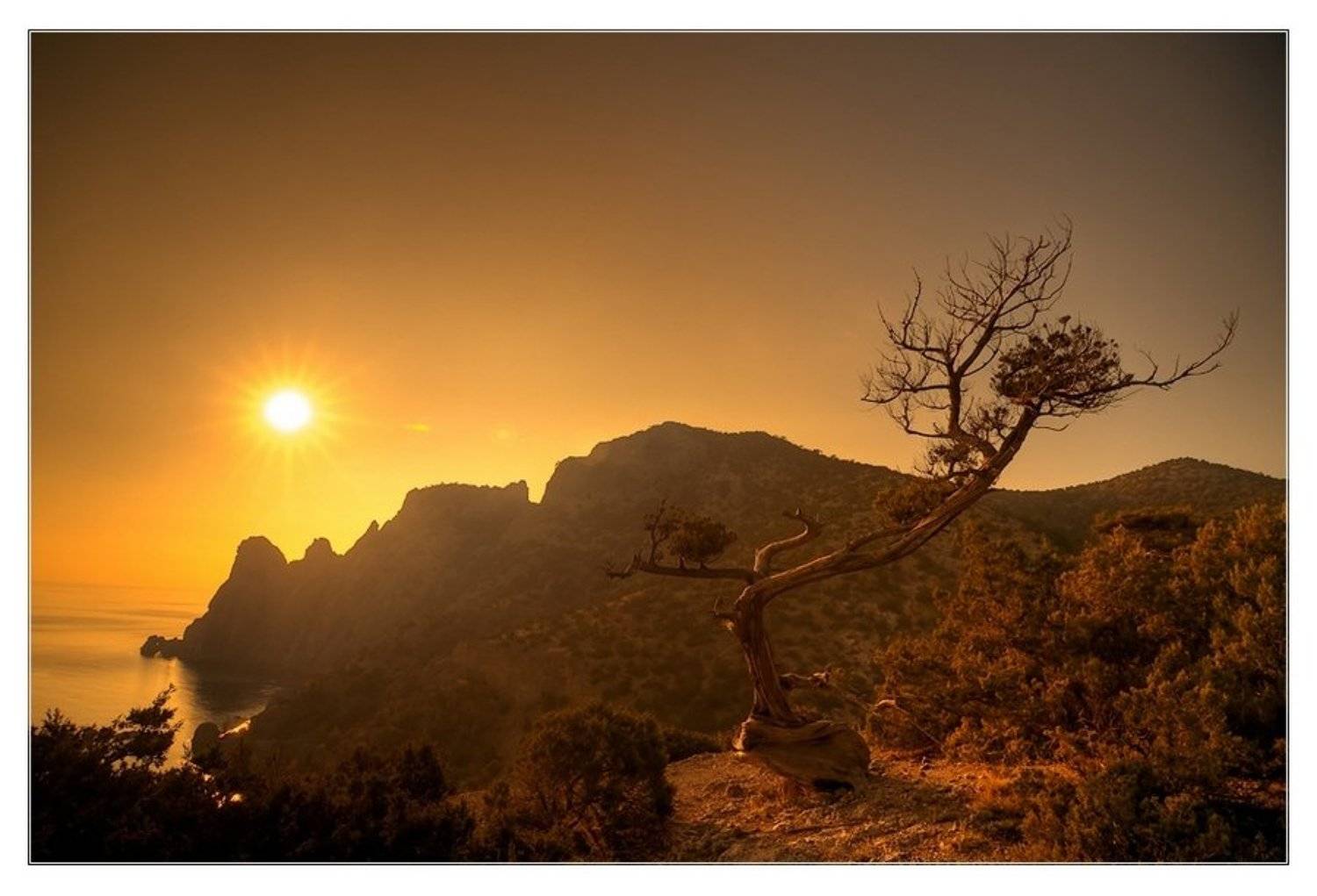 крым, новый свет, Dmitry Zherebtsov