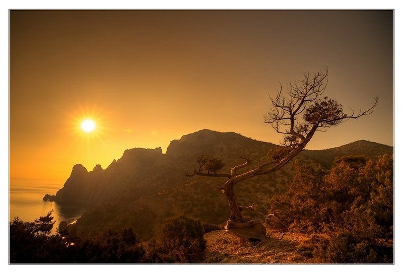 крым, новый свет *** фото превью