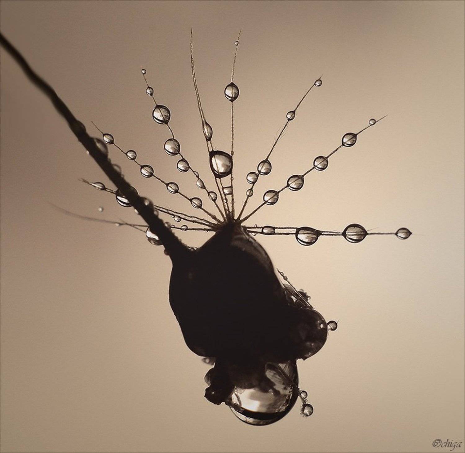 вода, капли, Chiga