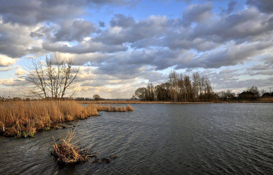 , Володимир Карчевський