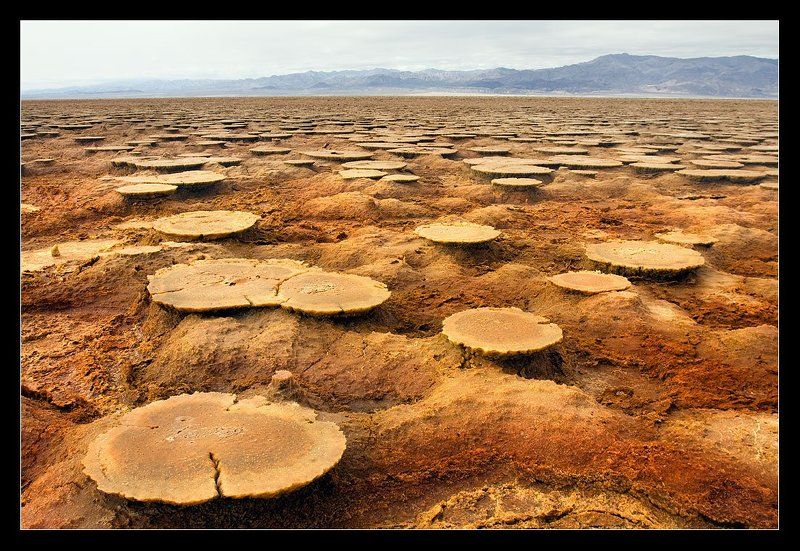эфиопия, вулкан, далол, соль, афар, регион, данакиль, низменность Соленые Грибы Далола... фото превью