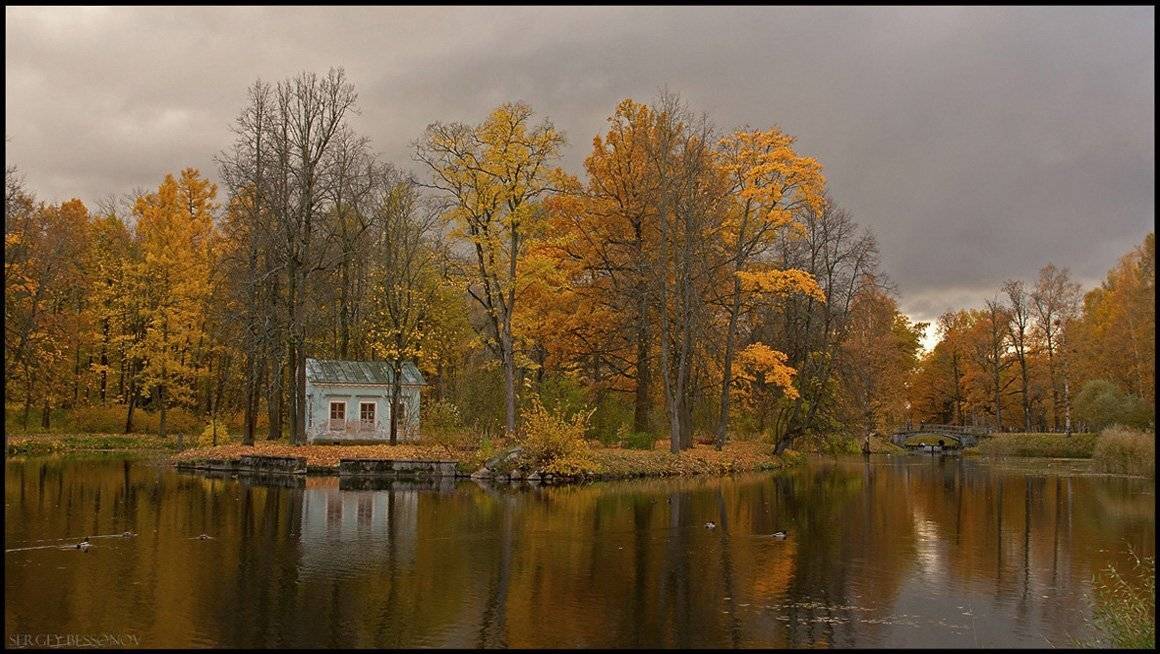 пушкин, осень, отражение, дом, мост, парк, Sergey