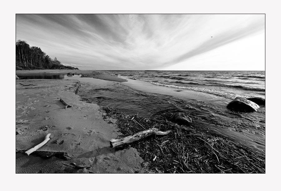 латвия, туя, Лариса Гурьева