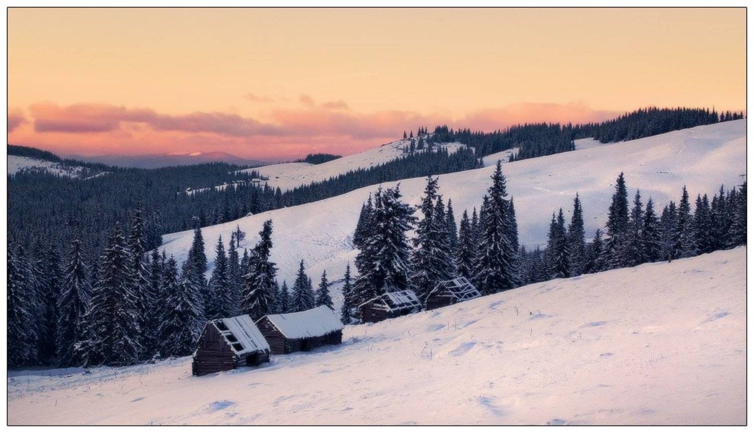 , Денис Кривой