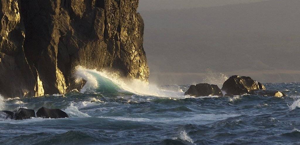 итуруп, Надежда Звягина / New Zealand