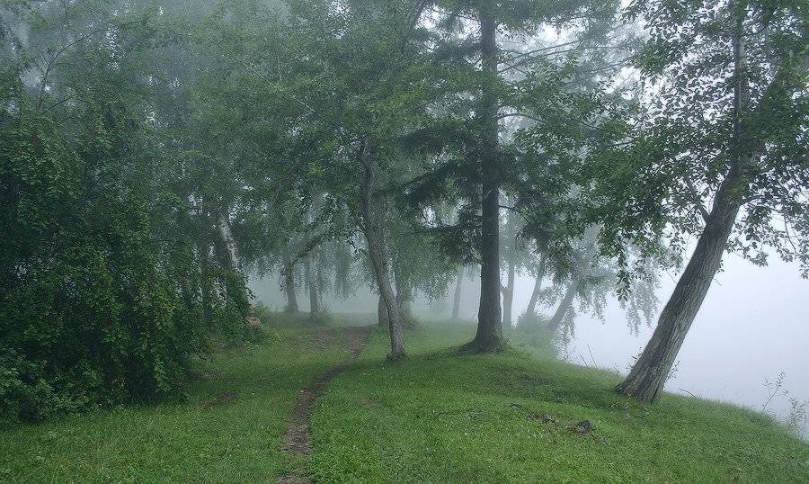 , Николай Морский