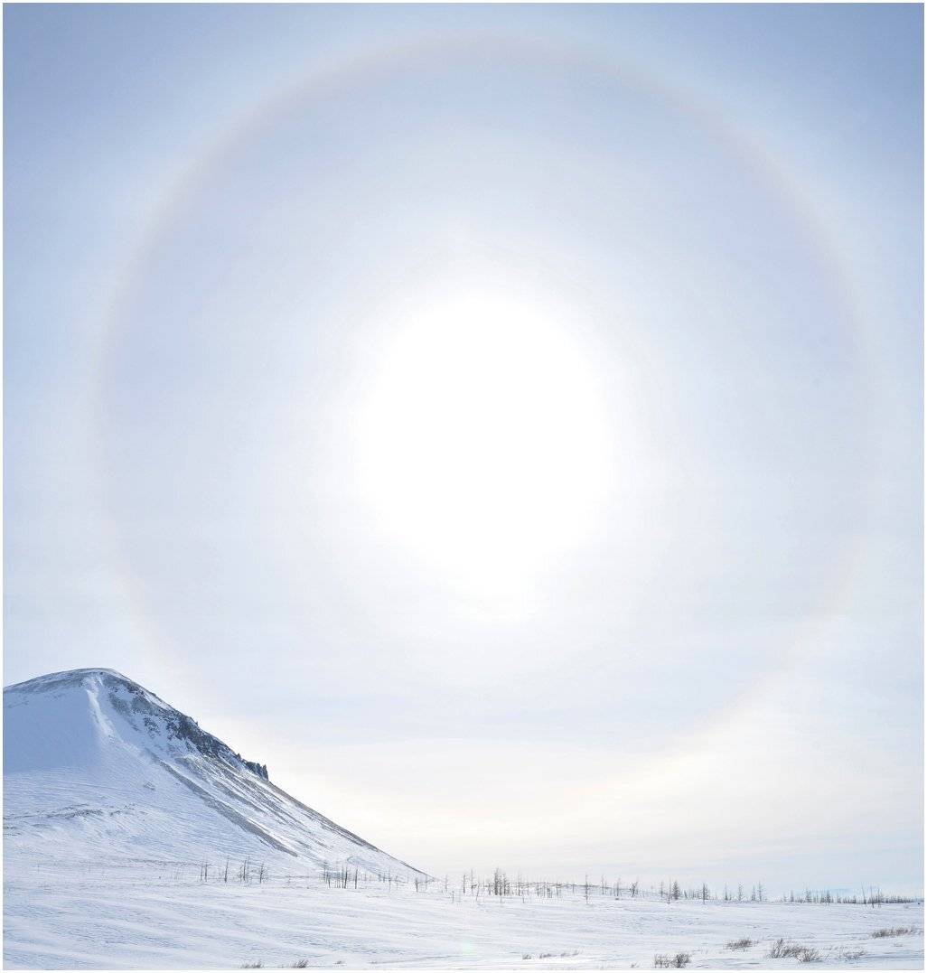 таймыр, Vladimir